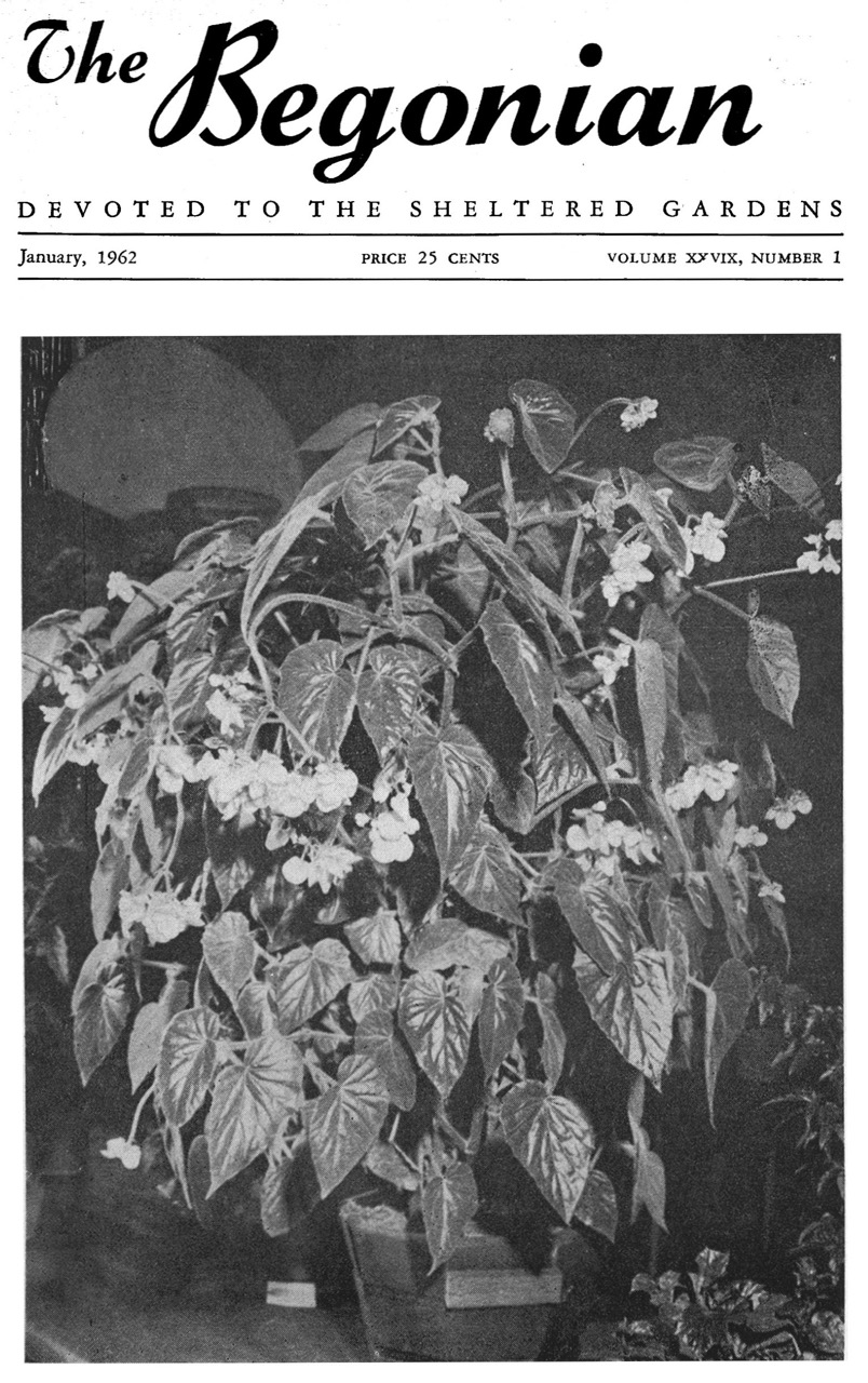 B. ‘Richland’